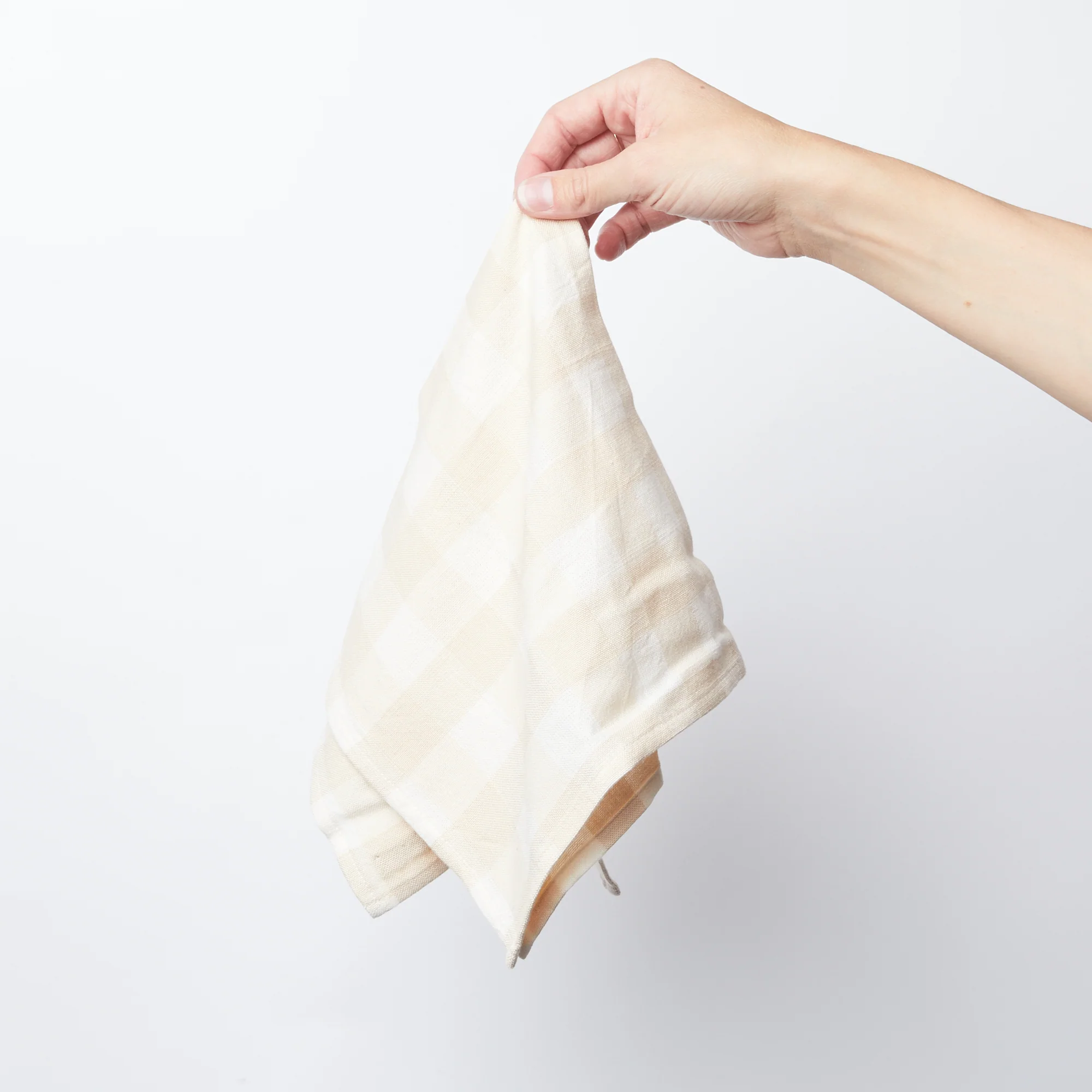 Gingham Napkin Set of 4
